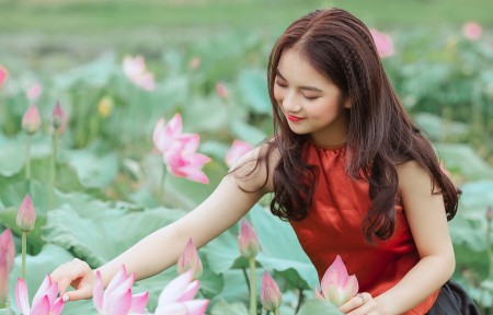 ［站长工具］站长优化分析工具有哪些？站长分析工具怎么用?